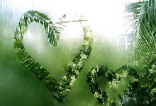 葡萄牙对阵加纳，这场世界杯对决有哪些看点和关键因素？